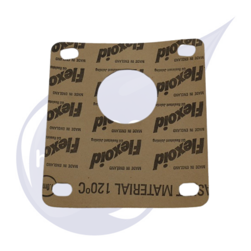 Picture of Gasket