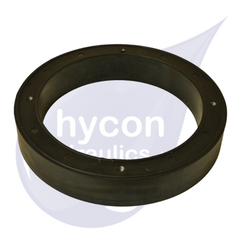 Picture of Damping Ring