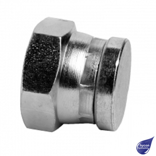 PICTURE OF HYCON BSP BLANKING CAP