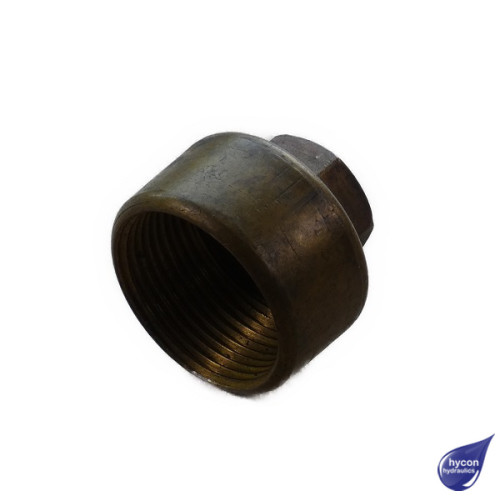 PICTURE OF SCREW HYDRAULIC COUPLINGS