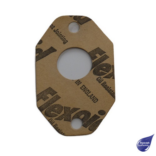 PICTURE OF OMT PUMP GASKET