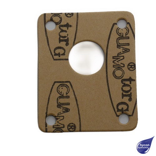 PICTURE OF OMT PUMP GASKET