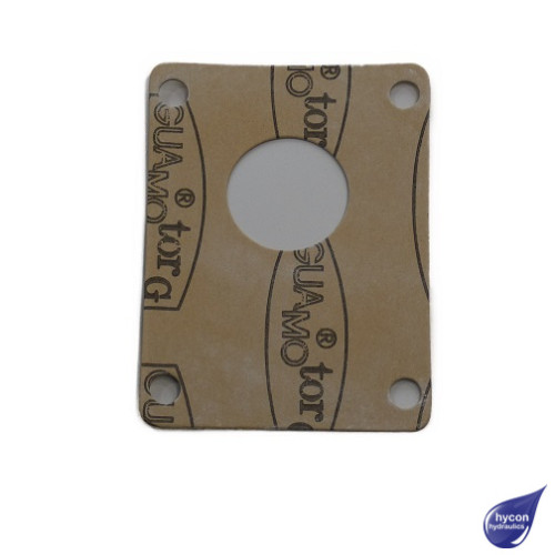 PICTURE OF OMT PUMP GASKET