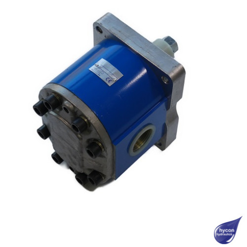 PICTURE OF GROUP 3.5 GEAR PUMP