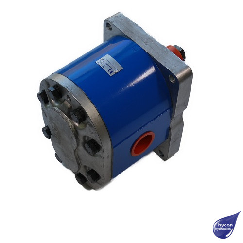 PICTURE OF GROUP 4 GEAR PUMP