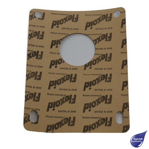 PICTURE OF OMT PUMP GASKET