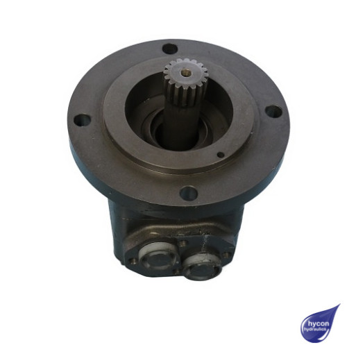 PICTURE OF MAXMA HYDRAULIC MOTOR MASS