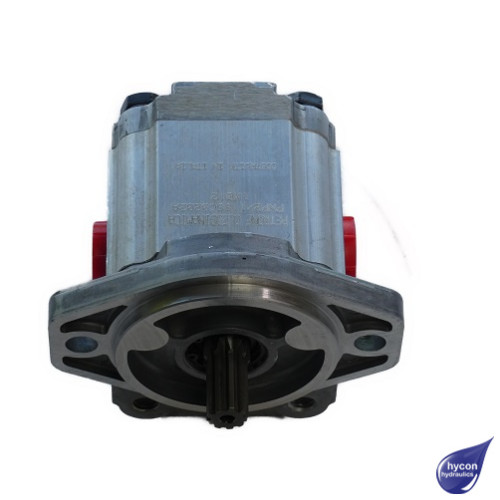 PICTURE OF PETRONE GROUP 2 HYDRAULIC GEAR PUMP