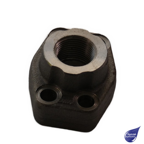 STRAIGHT SAE FLANGE 6000 PSI 3/8" BSP METRIC BOLTS