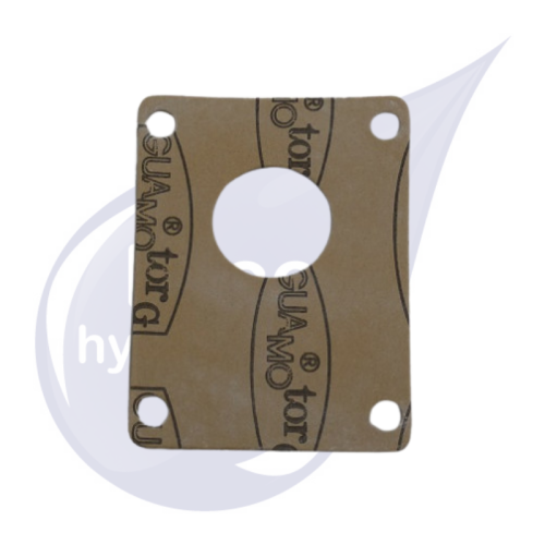 Picture of Gasket