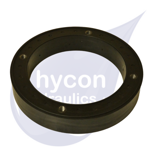 Picture of Damping Ring